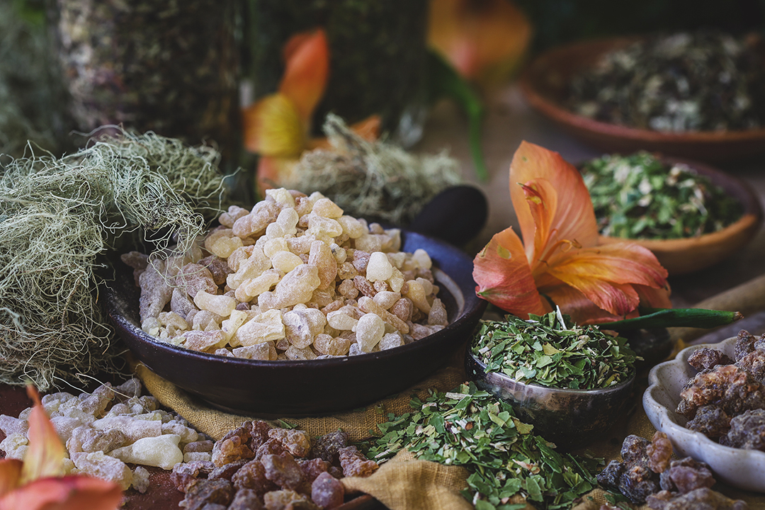 Mountain Rose Herbs is Helping to Bring FairWild Certification to US Farmers