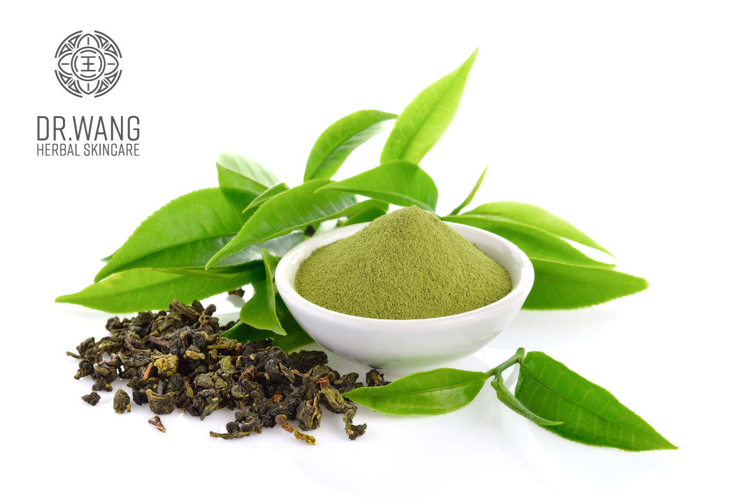 How Does Green Tea Help Your Skin? – Dr. Wang Herbal Skincare
