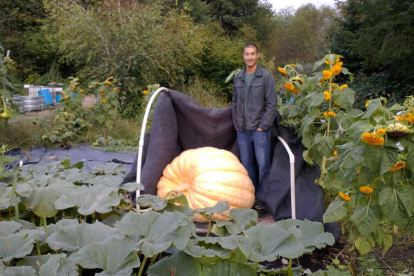 What I wish I’d known when I first started gardening… – KiS Organics