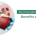 Why Choose India for Kidney Transplant Surgery