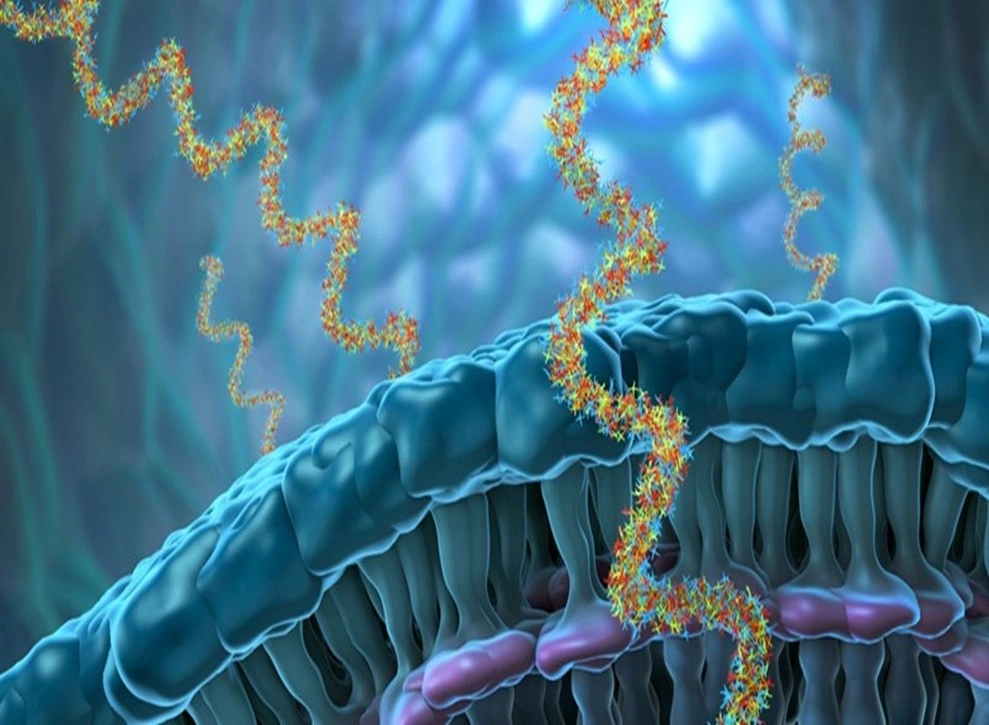 Protein Expression Technology: Application in Healthcare Industry
