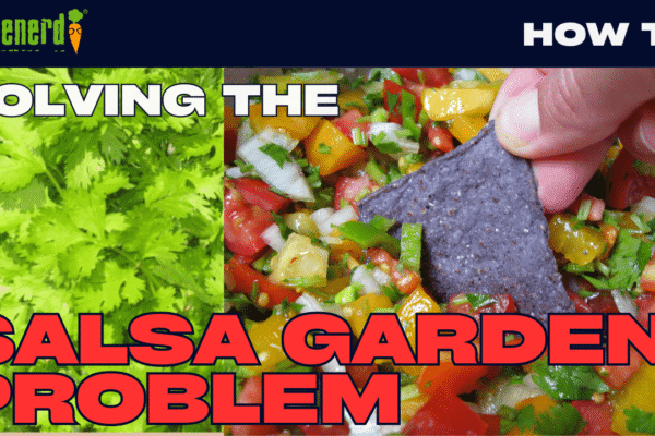 YouTube: The Problem with Salsa Gardens – Cilantro