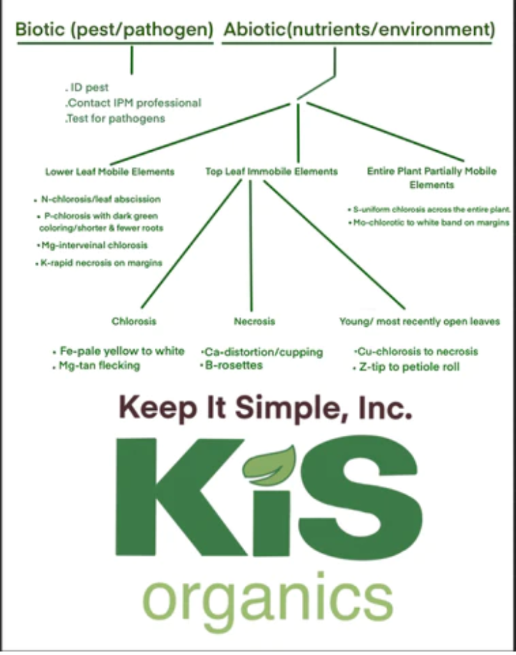 A Dichotomous Key for Understanding Nutrient Deficiencies – KiS Organics