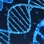 Understanding how long non-coding RNAs control gene expression in cancer