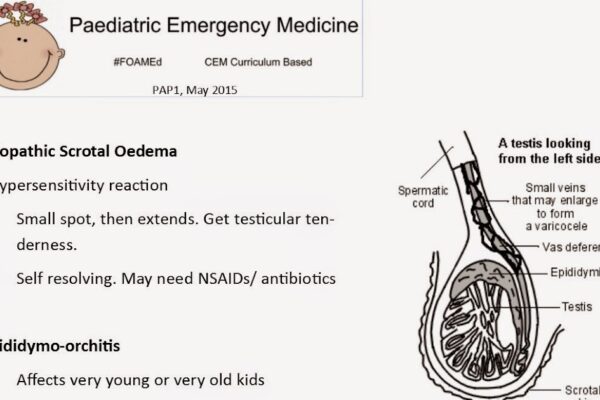 Paediatric Emergency Medicine: Penile Problems