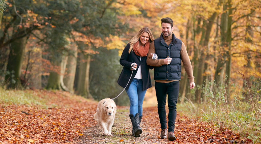 Study Finds Walking Faster for Just 15 Minutes a Day Can Help You Live Longer