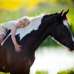 Horses Could Help Children Dealing With Trauma