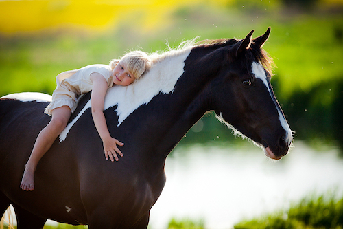 Horses Could Help Children Dealing With Trauma