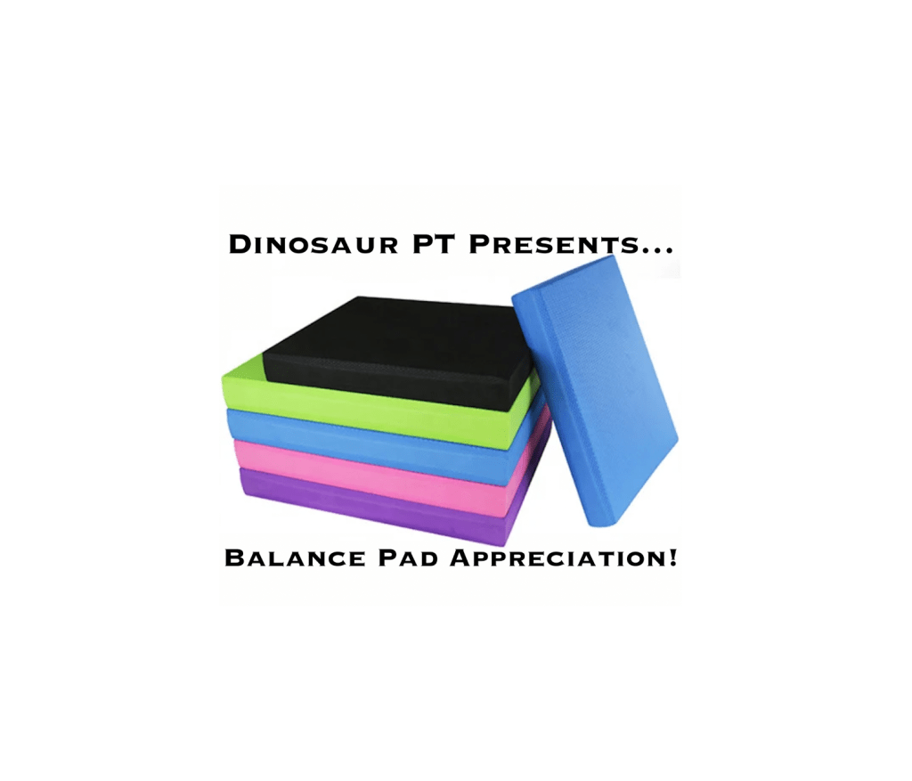 Balance Pad Appreciation – DINOSAUR PHYSICAL THERAPY
