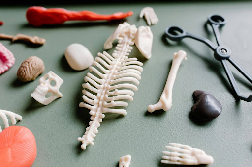 PTs and MRIs – ALTA Sports PT and Pilates