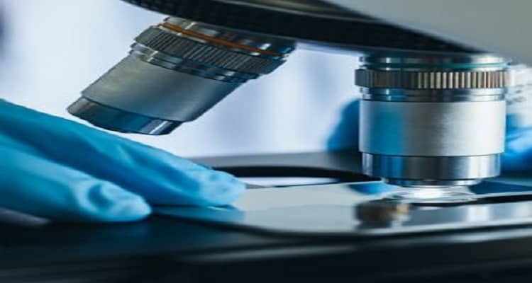 Zydus Therapeutics announces positive topline results from EPICS-III Phase 2b/3 trial of Saroglitazar in Primary Biliary Cholangitis