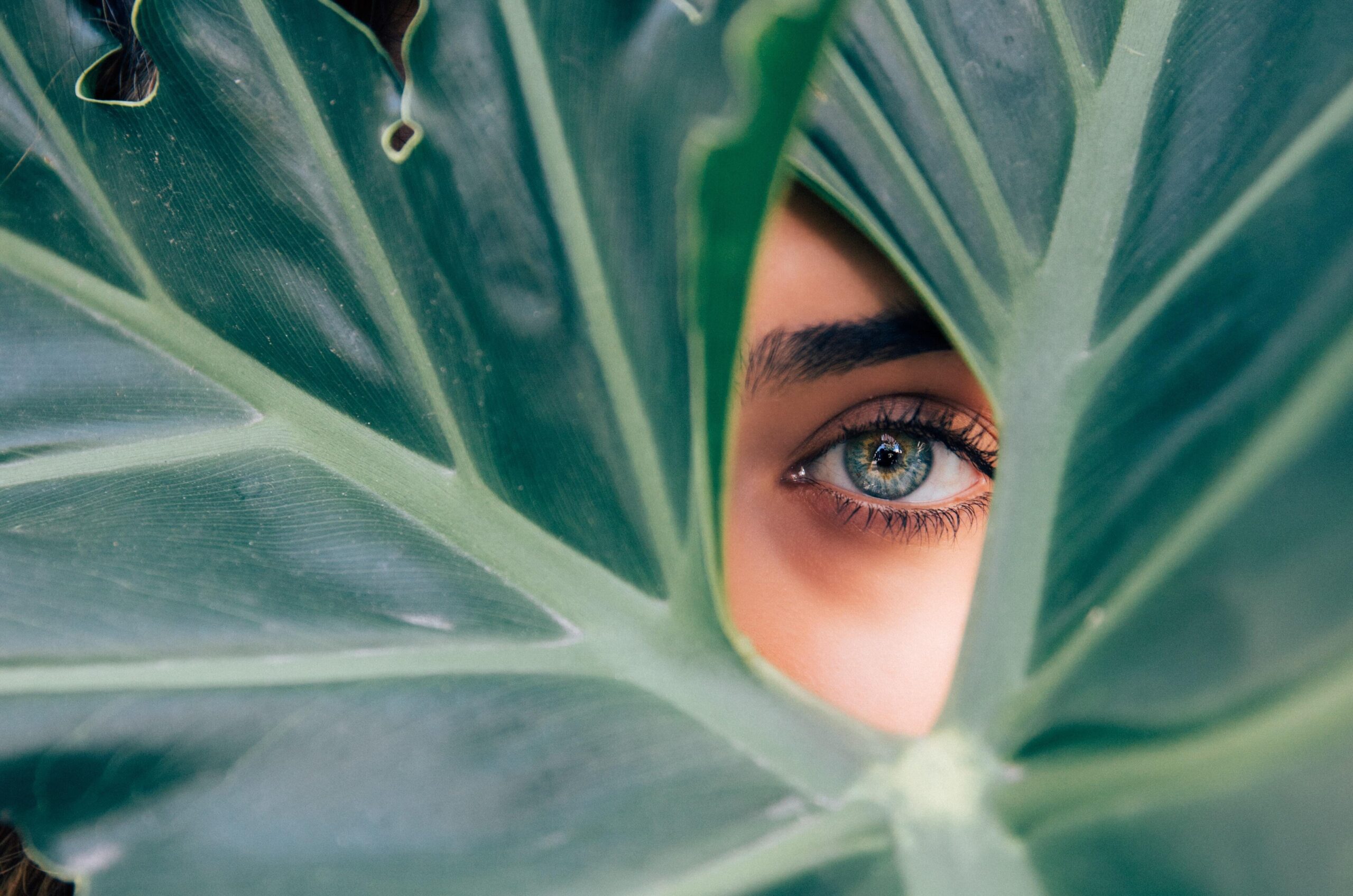 HBO Reveals the “Not So Pretty” Truth About the Skincare Industry
– Sally B’s Skin Yummies