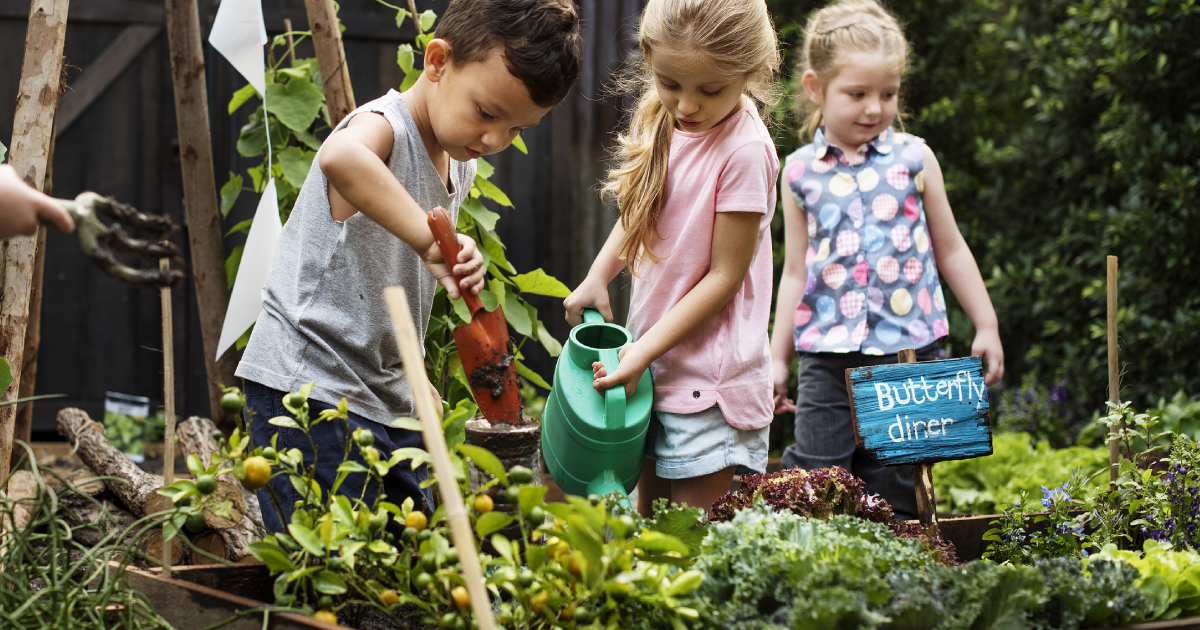 Organic Food – Protecting Our Children
