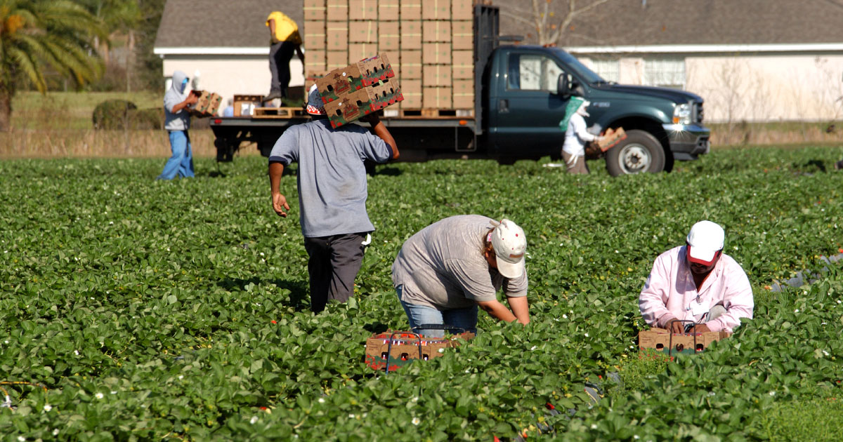A Food Sovereignty Win in Maine from FTCLDF!