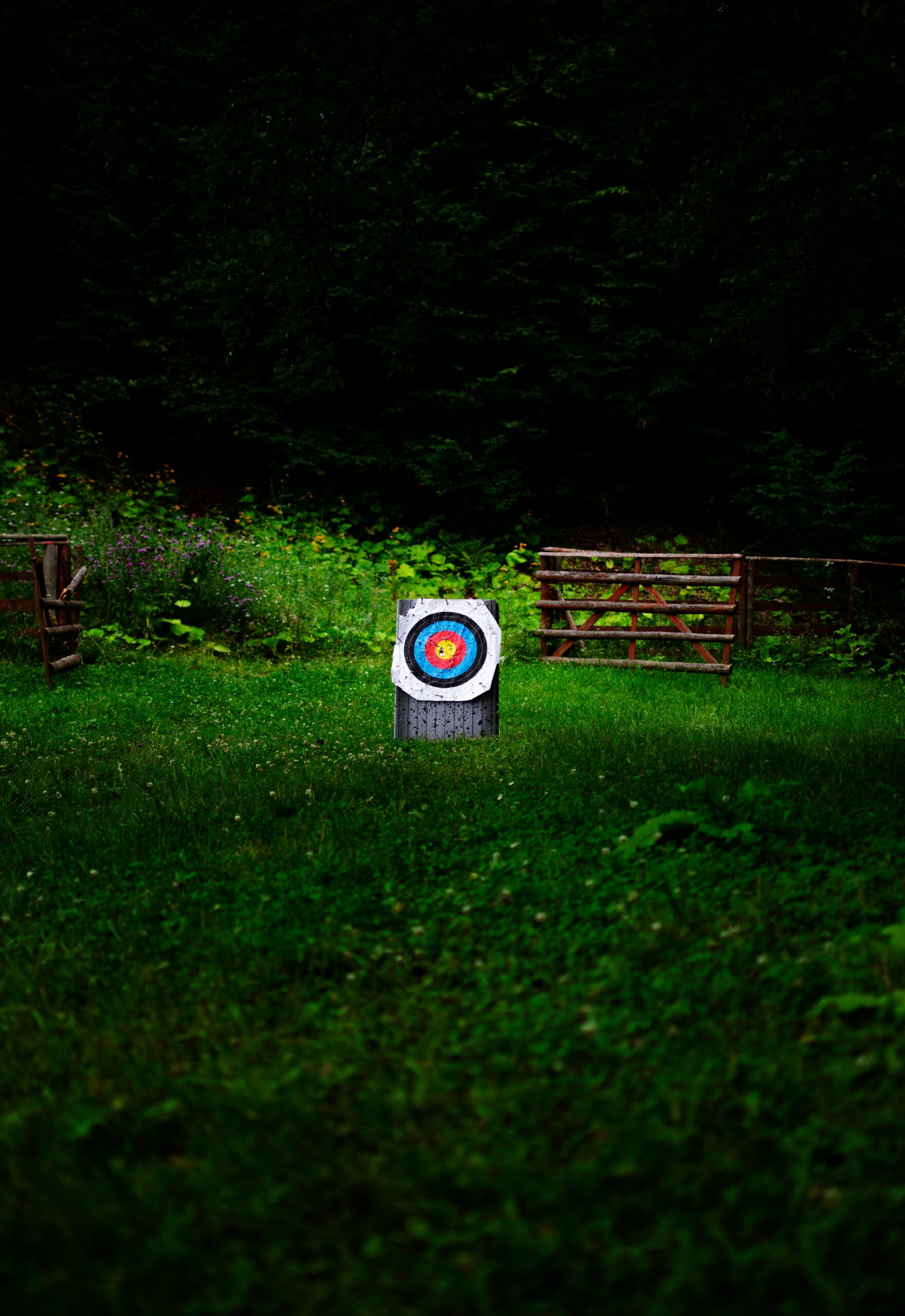 Do psychiatric disorder genes overlap with their drug targets?