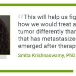 AI tool may lead to personalized cancer treatments that target individual cells