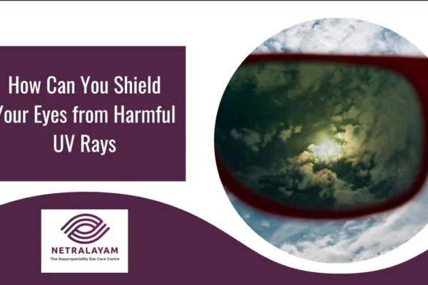 UV Protection for Eyes – Prevent Sun Damage Today