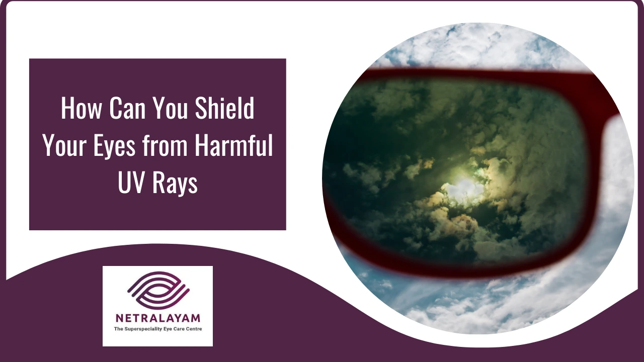 UV Protection for Eyes – Prevent Sun Damage Today