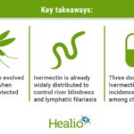 Mass ivermectin dosing helps control malaria