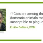 Oregon man got plague from his cat