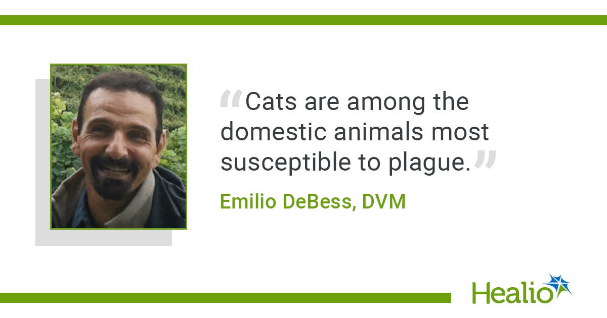 Oregon man got plague from his cat