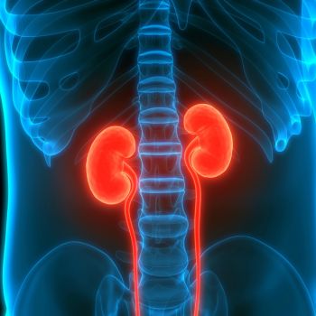 Are the Kidneys Linked to Dementia and Vision Health?