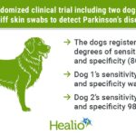Dogs sniff out Parkinson’s disease from skin swabs