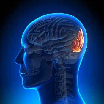 Eye Brain Connection: The 5 Steps