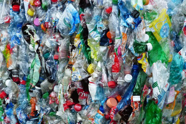 Plastic Causing Disease and Death All Stages of Life, Report Warns