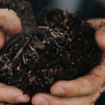 Country Life: Lowering Costs and Enriching the Soil – One Farmer’s Regenerative Journey