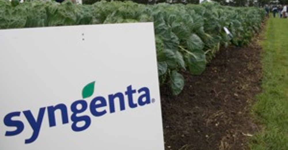 Time to Put Children’s Health Above Pesticide Industry Profits