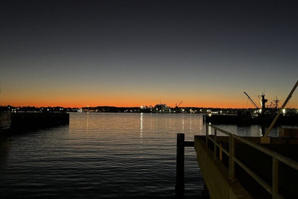 Readout Newsletter: Replimune, Gilead PrEP, Novartis