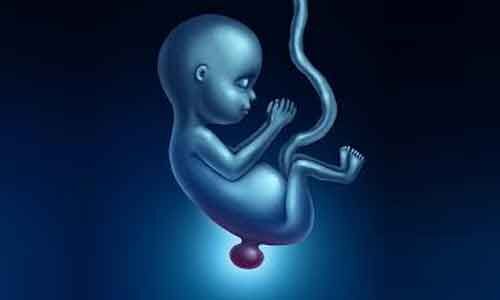 Fetal exposure to vape liquids linked to changes in skull shape, reveals study