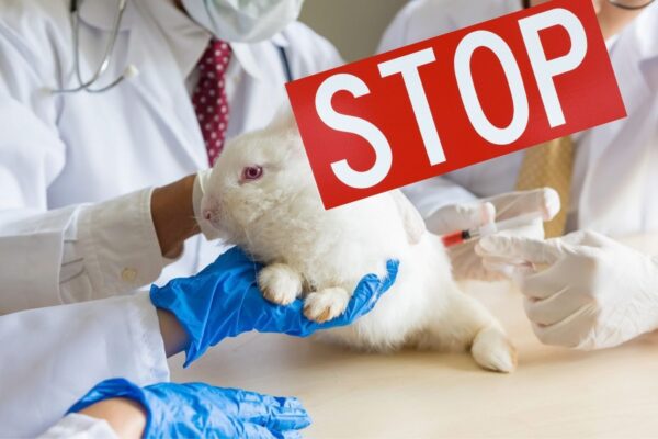 Delhi HC Orders Fresh Inspection of Palamur Biosciences After PETA Allegations