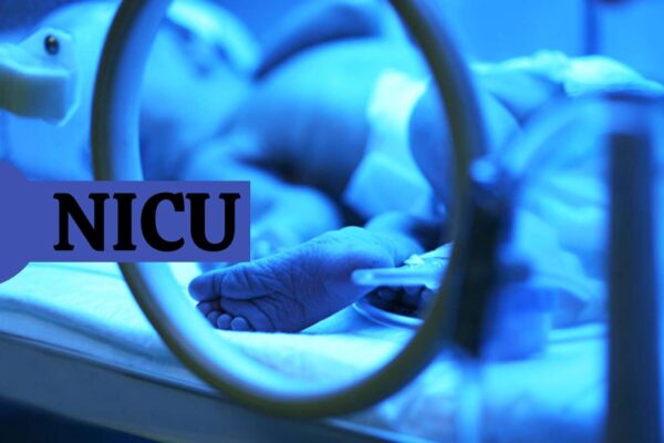 Newborn dies 2 days after rat bite at Indore Hospital, 2 nurses suspended