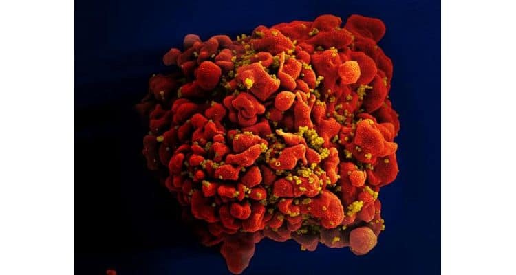 Lupin receives tentative approval from US FDA for Biktarvy tablets