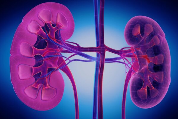 RCR Index Strong Predictor of Mortality and Disease Severity in Diabetic Nephropathy Patients: Study