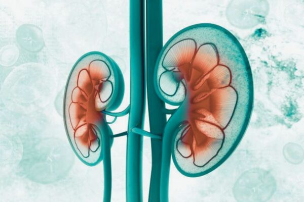 World’s first clinical trial showing lubiprostone aids kidney function, finds study