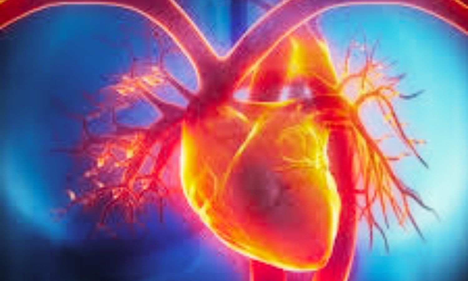 Cardiac MRI Workflow Improves Prediction of Sudden Cardiac Death in Dilated Cardiomyopathy: Study Shows