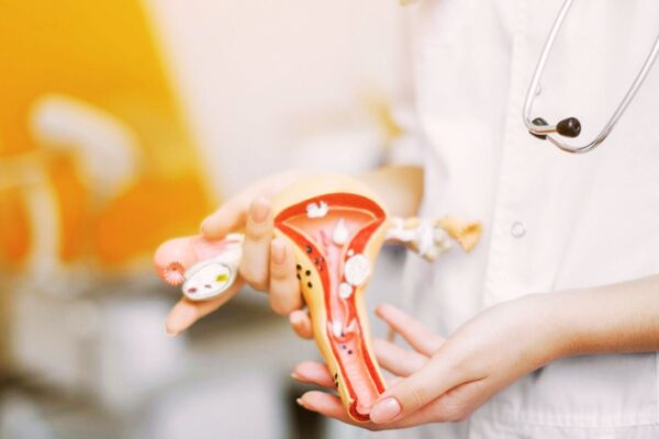 Uterine Manipulators Enhance Laparoscopic Rectal Surgery Outcomes: Study