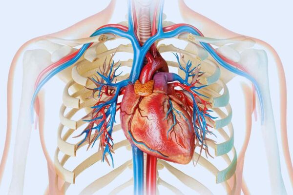 Aficamten superior to metoprolol for symptomatic obstructive hypertrophic cardiomyopathy: ESC Study