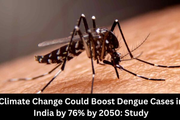 Climate Change could increase dengue cases in India by 76% by 2050: Study
