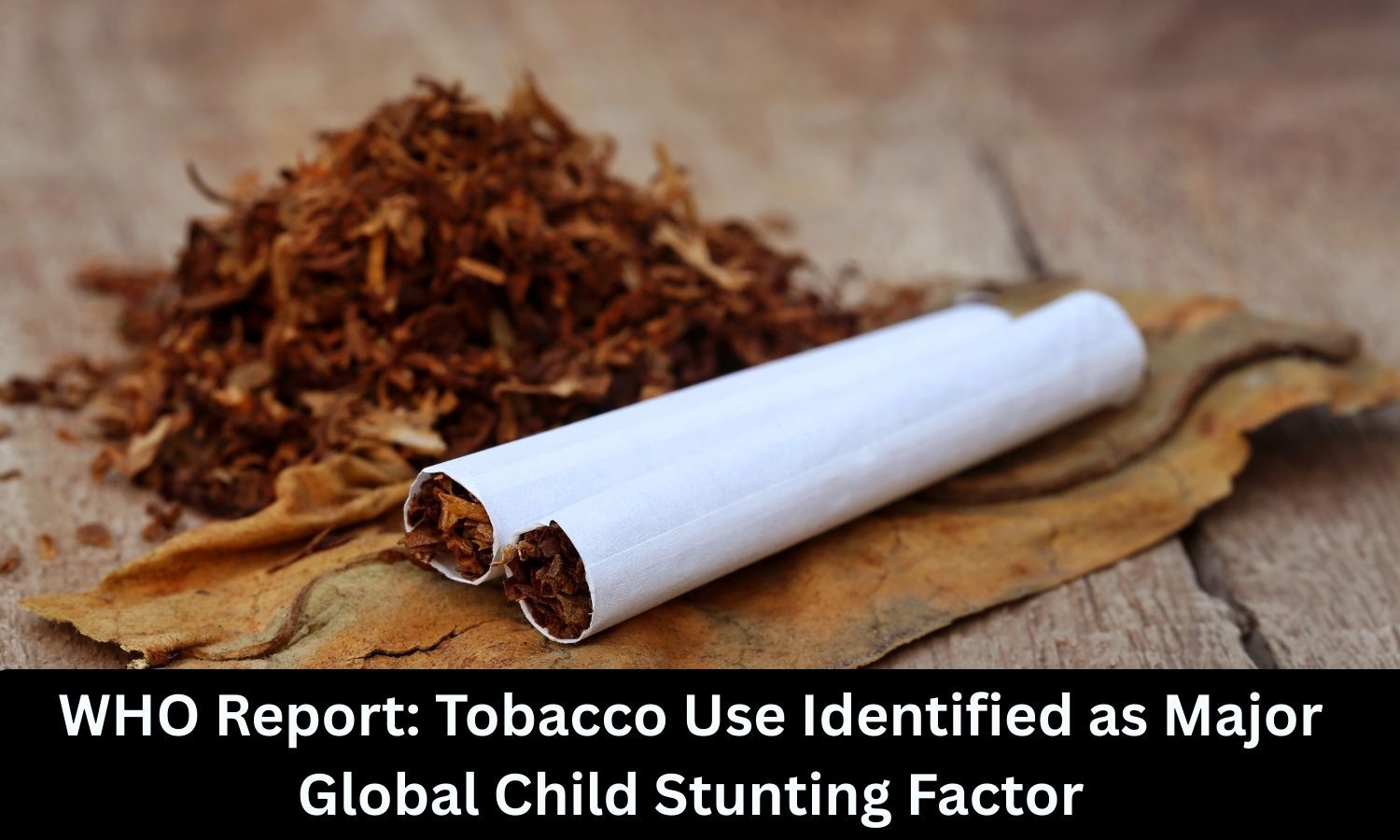 WHO Report identifies Tobacco use as major factor in Global Child Stunting