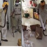 Snake found in Jhansi Hospital OT sparks panic