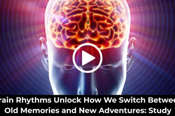 Brain Rhythms Unlock How We Switch Between Old Memories and New Adventures: Study