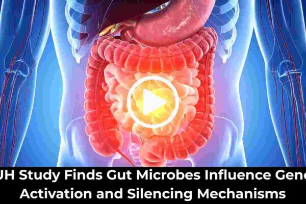UH Study Finds Gut Microbes Influence Gene Activation and Silencing Mechanisms