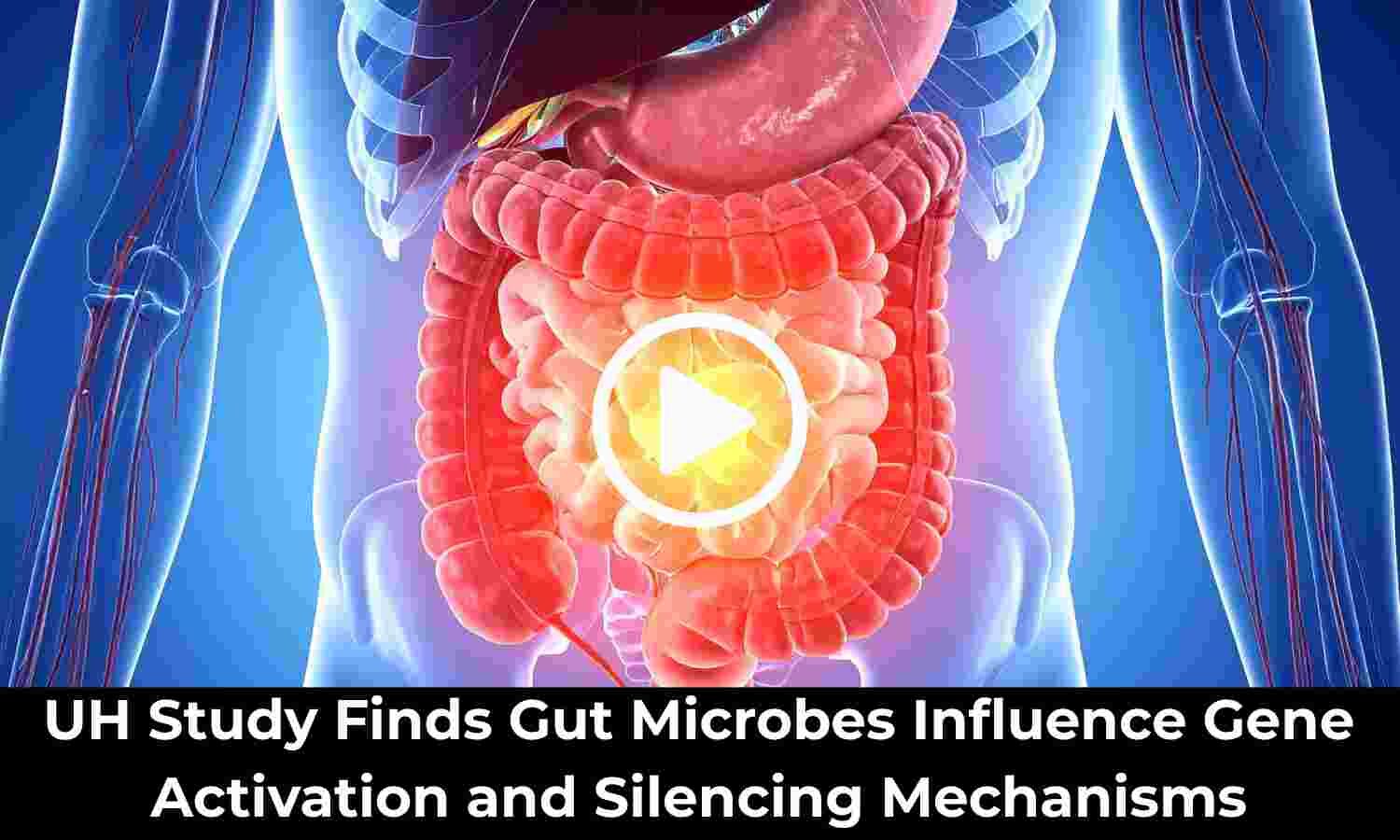 UH Study Finds Gut Microbes Influence Gene Activation and Silencing Mechanisms