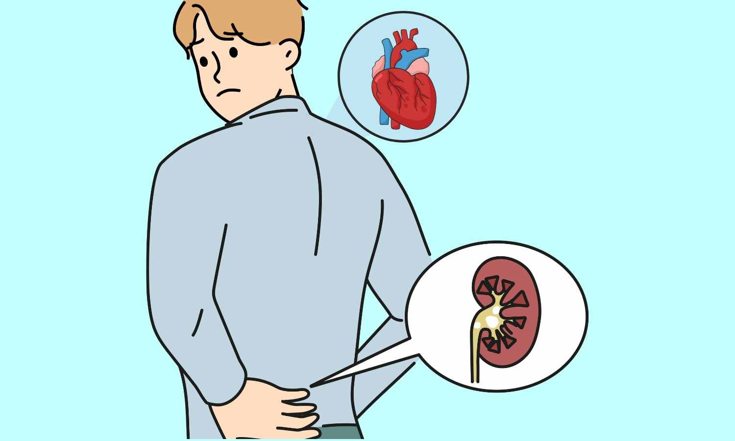 Cardiovascular-Kidney-Metabolic Syndrome May Shorten Your Life Expectancy, reveals research