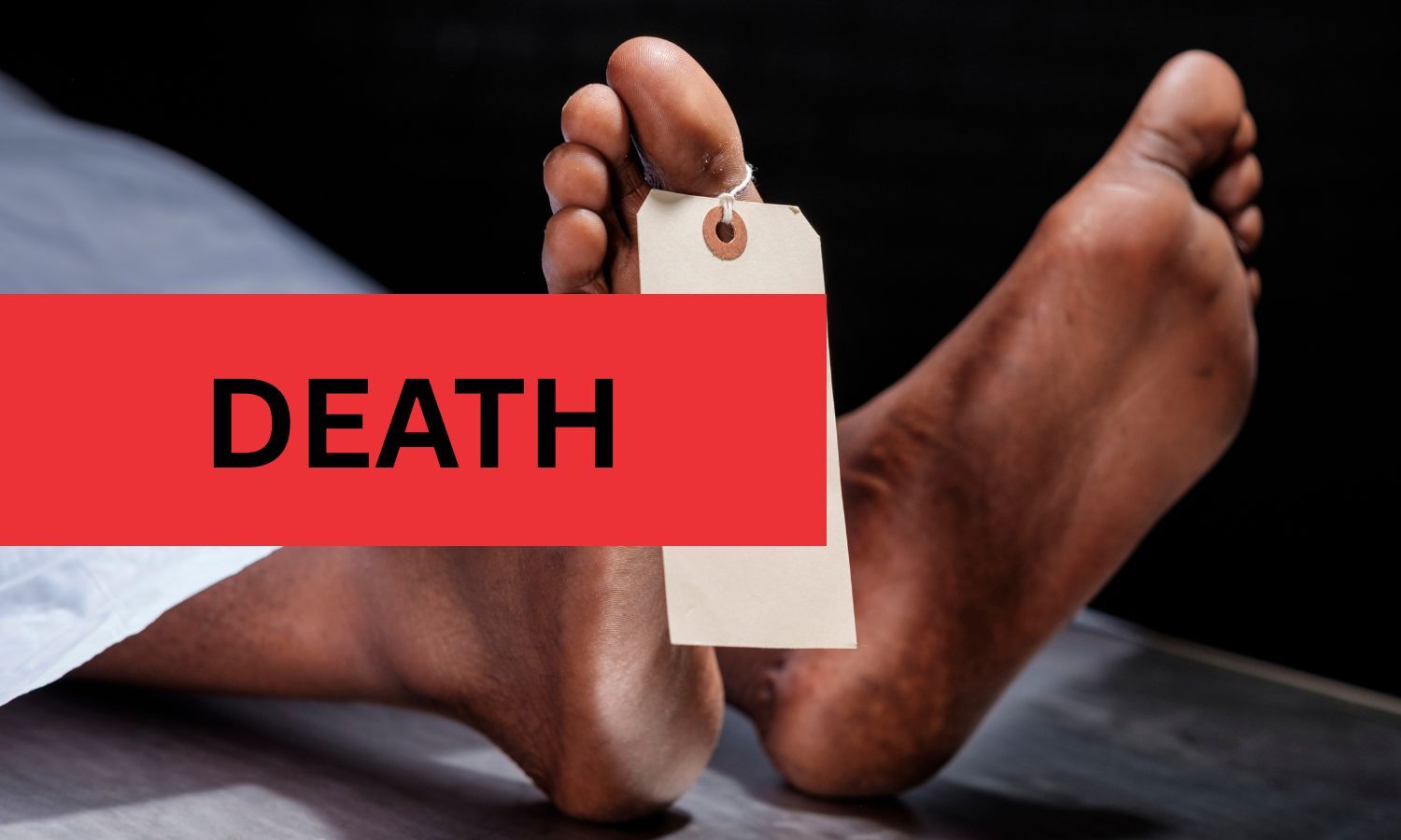 Punjab HC denies bail to driver in MBBS student death case