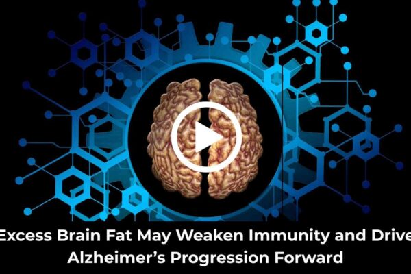 Excess Brain Fat May Weaken Immunity and Drive Alzheimer’s Progression Forward: Study Suggests